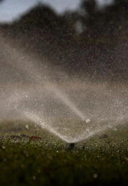 Sprinklers Sprinklers