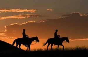 cowboys cowboys