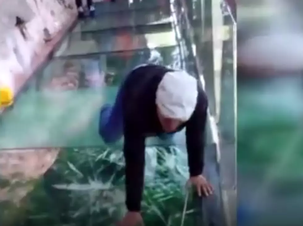 Cracking Glass Walkway Terrifies Tourists!