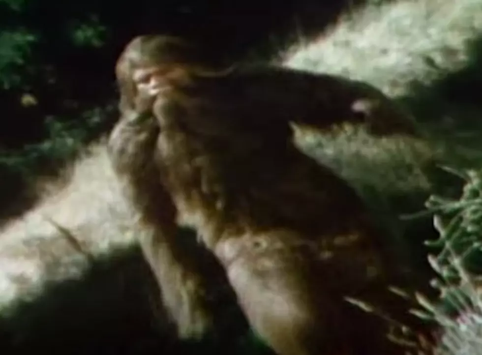 Experts Warn Skiers and Hikers: It’s Yeti Mating Season