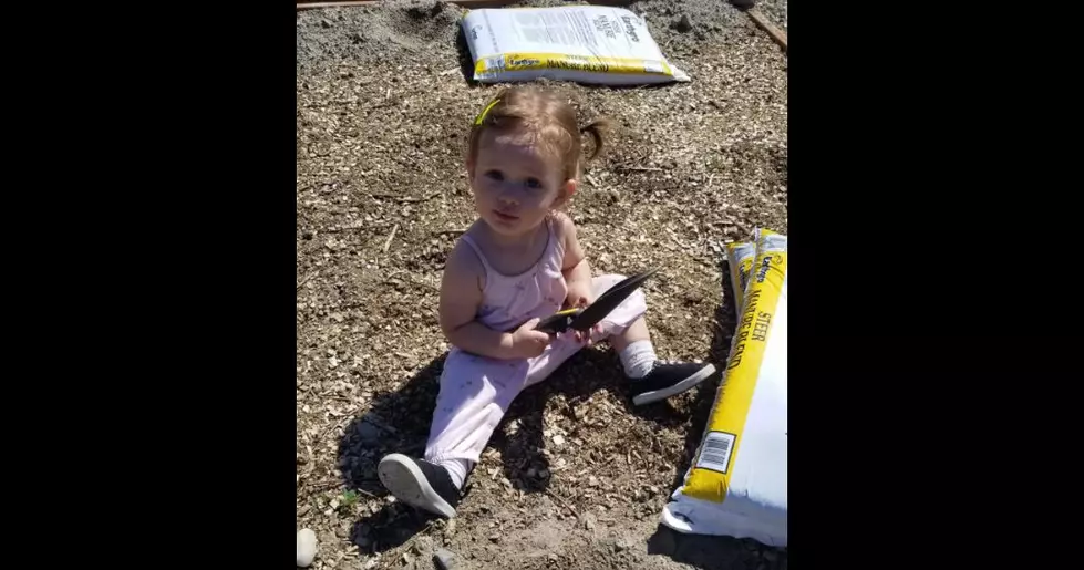 The Story of the One-Year-Old Gardener