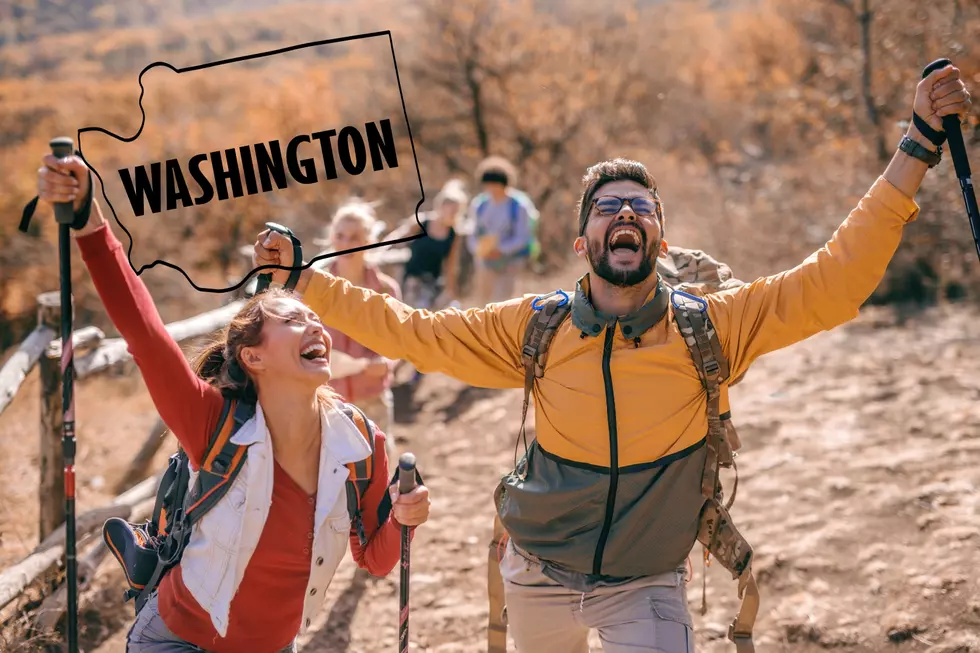 Washington Weather Transforming to Cooler Paradise This Weekend