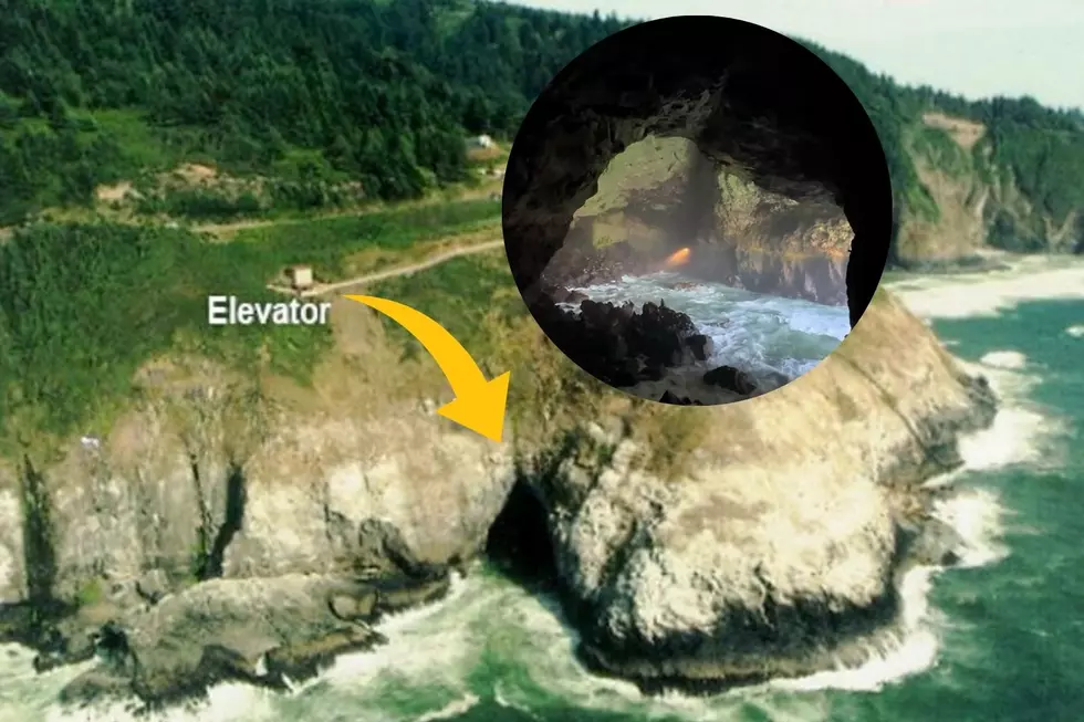 This Elevator Will Take You Down an Oregon Cliff to Amazing Sea Lion Cave