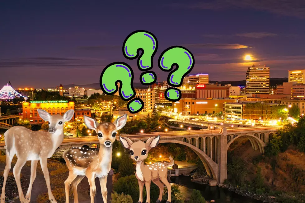 Antlers and Antics: the Great Deer Chase Taking Spokane by Storm