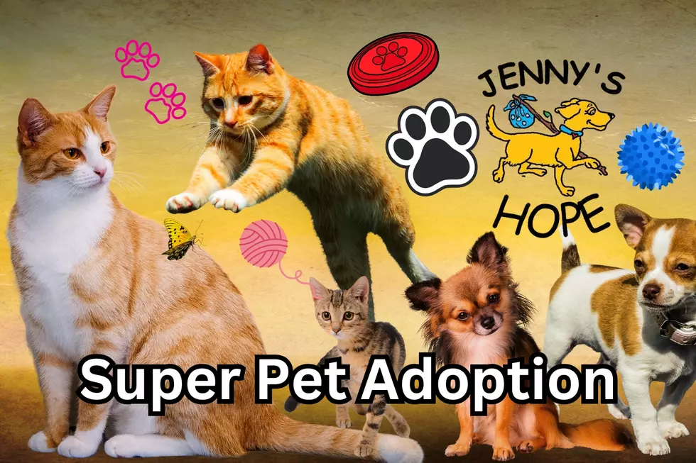 WA’s Jenny’s Hope Super Pet Adoption Event Is April 26th