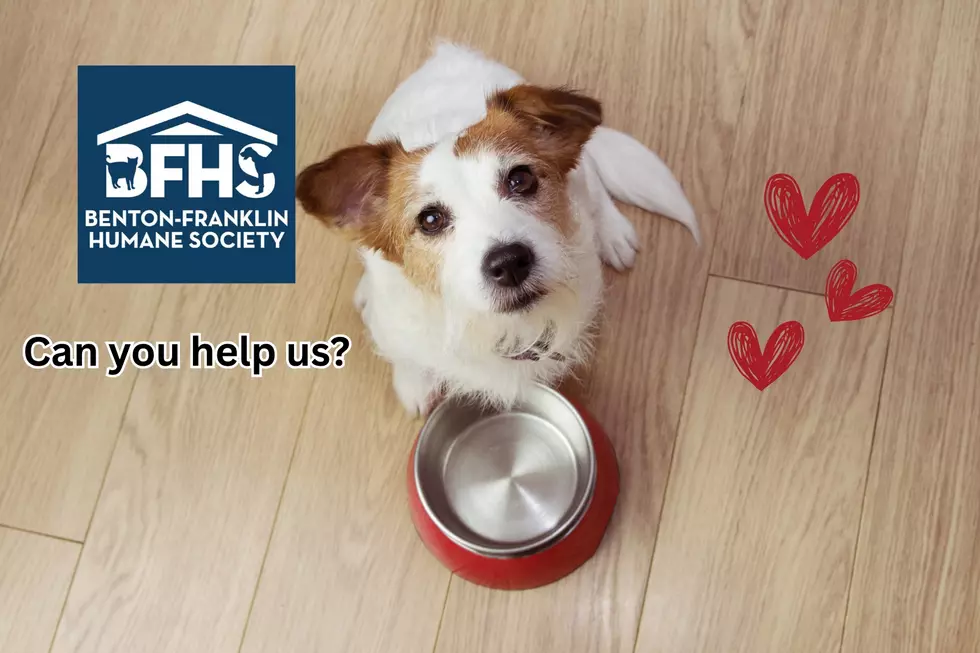 Help Feed Furry Friends in Urgent Need at the Shelter
