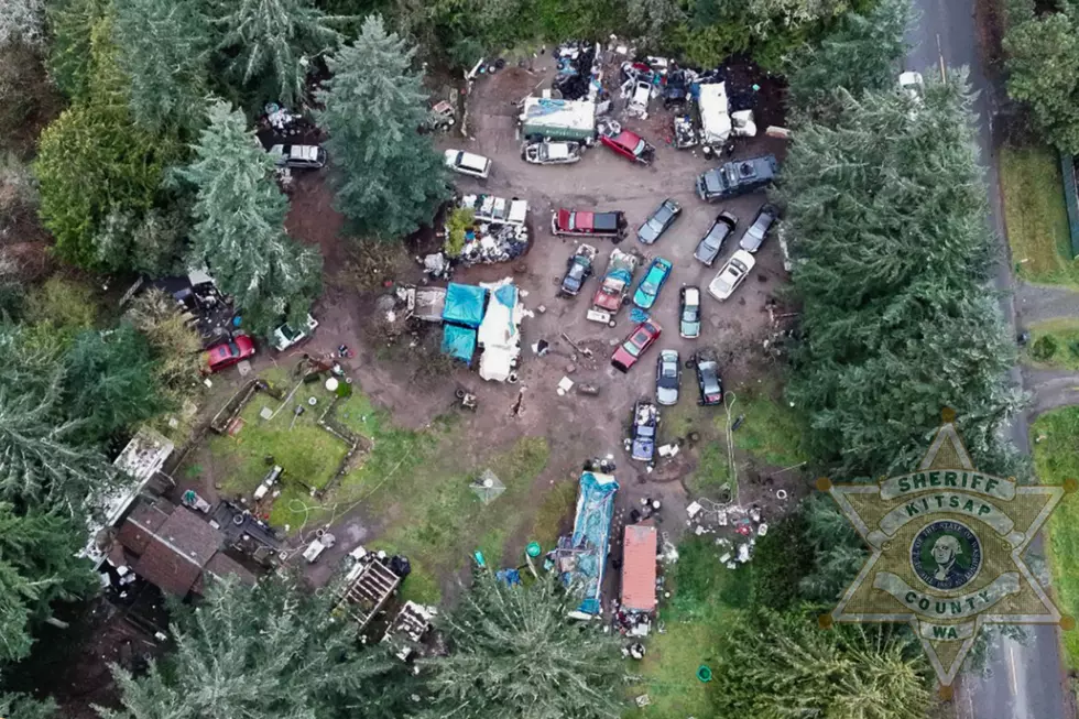 SWAT Teams and Police Make Significant Arrests in Port Orchard