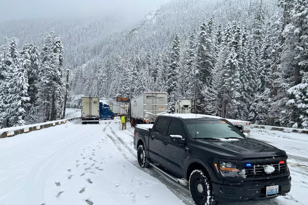 Surprise Snow Slams Snoqualmie Pass—Spring on Hold